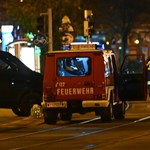 Terrorist attack in Vienna: two Turkish MMA fighters inform the press about their brave position