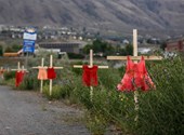 Las tumbas anónimas de niños aborígenes enfrentan los nuevos horrores de Canadá de su pasado