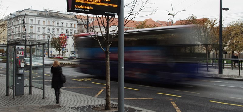 A rat crawled on a passenger's neck on bus 108