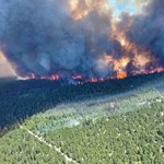 Se han reportado casi 500 muertes relacionadas con el calor en Columbia Británica, Canadá.