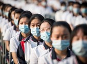 La pandemia podría haberse evitado, pero se cometió un error por equivocación, dice un organismo independiente convocado por la Organización Mundial de la Salud.