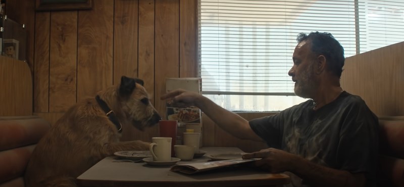 Tom Hanks is going through the apocalypse with a cute dog and a robot