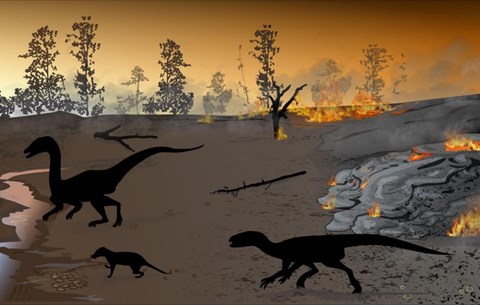 dinoszaurusz paraziták paraziták osztódnak