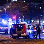 A man who may have been involved in the terrorist attack in Vienna has been arrested in Linz