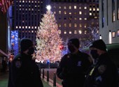 They can see the Christmas tree at Rockefeller Center for four and only five minutes at a time.