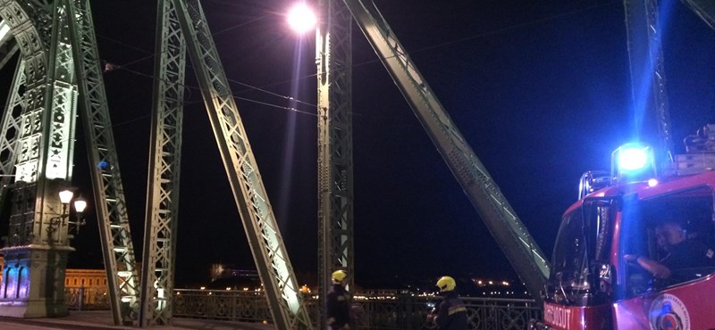 A man climbed the Liberty Bridge.